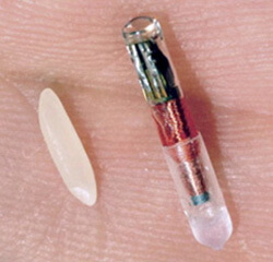 House Calls for Pets - MIcrochipping